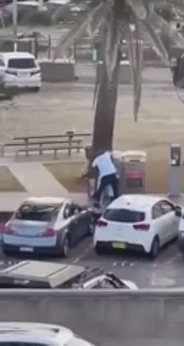 безоружный прохожий обезвреживает одного из стрелков в Сиднее.