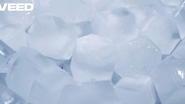 BallaDonna - Покой ледяной