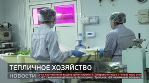 Тепличное хозяйство. Новости. 16/12/2025. GuberniaTV