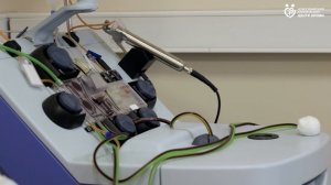 Заготовка гемопоэтических стволовых клеток в НКЦК