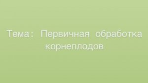 651, МДК 01.01, 17.12.2025 - Первичная обработка корнеплодов