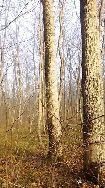 VID_2025-12-07-13-34-52-365 смотреть онлайн