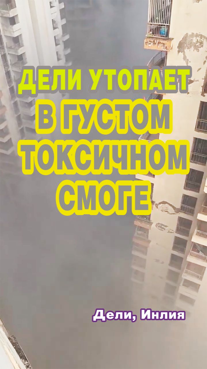 Дели (столица Индии) утопает в густом токсичном смоге.