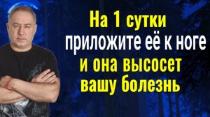 Работает с первого раза! На 1 сутки приложите её к ноге или другому месту и забудете про свой недуг