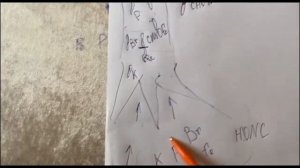 Вся система жизни растений. Прорыв. Часть четвертая.