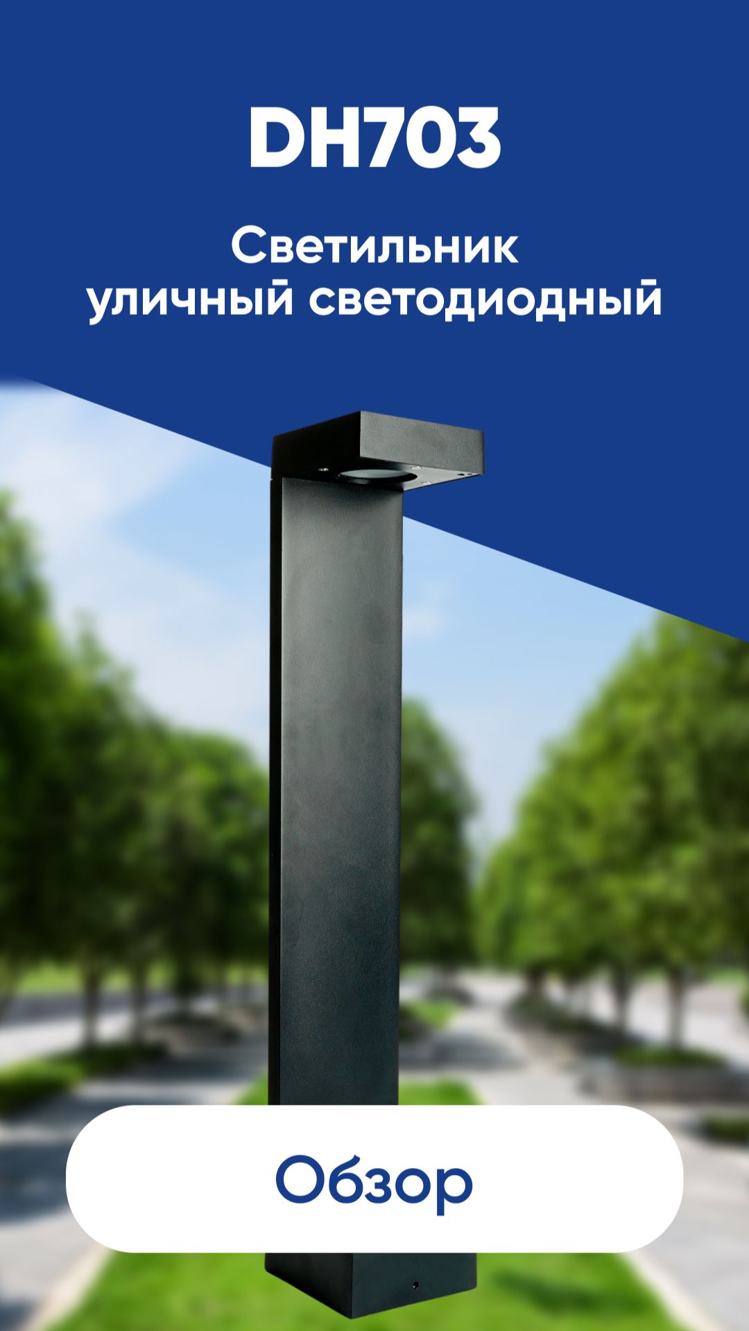 Светильник уличный светодиодный Feron DH703