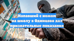 Напавший с ножом на школу в Одинцово дал признательные показания