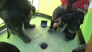 РЫБА КАПРИЗНИЧАЛА, НО ВСЁ РАВНО ПОДОБРАЛИ К НЕЙ КЛЮЧ