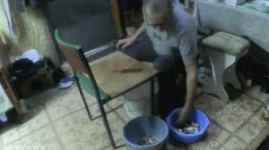 VID00007 89029478846 озон банк