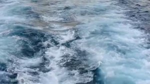 #вспомним лето # закат поездка на теплоходе