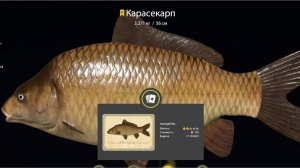 Фарм на Медном Русская Рыбалка 4!!! (RF 4)