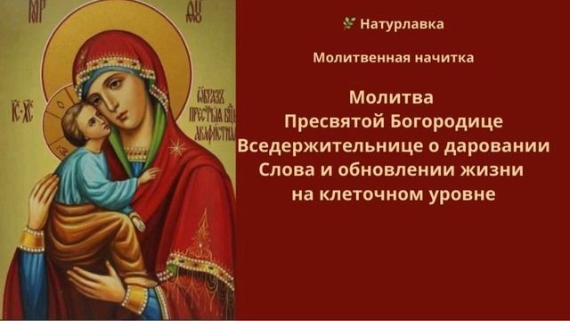 Молитва Пресвятой Богородице даровании Слова и обновлении жизни на клеточном уровне