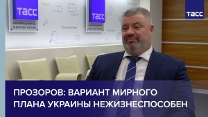 Прозоров: вариант мирного плана Украины нежизнеспособен