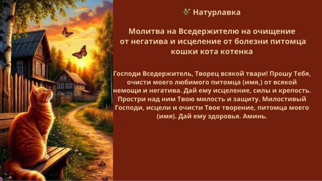 Молитва на Вседержителю на очищение от негатива и исцеление от болезни питомца кошки кота котенка
