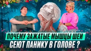 Почему мышцы шеи сеют панику в голове ?