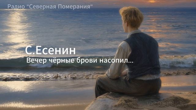 Вечер чёрные брови насопил 2