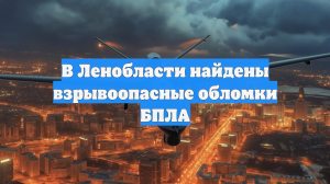 В Ленобласти найдены взрывоопасные обломки БПЛА