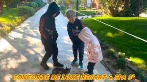 ‼️ДЕТИ ОТДЕЛЬНО, ВЗРОСЛЫЕ ОТДЕЛЬНО‼️ Отдыхаем в отеле Concorde De Luxe Resort & SPA 5*