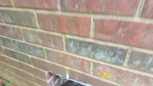 Ломаю ПОЛЫ. Почему НЕЛЬЗЯ жить в АВТОДОМЕ на своем участке(Rastorguev 🏡)