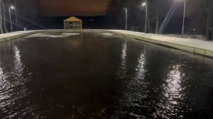 Обстановка на лесном водоёме