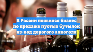 В России появился бизнес по продаже пустых бутылок из-под дорогого алкоголя