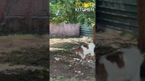 Hilton Dalaman Sarigerme Resort & Spa 5*