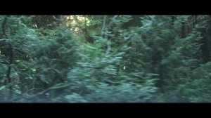 Хокум — Официальный тизер трейлер (2026) Адам Скотт