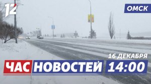 Похолодание / Инициативные проекты / Ёлка желаний. Новости Омска