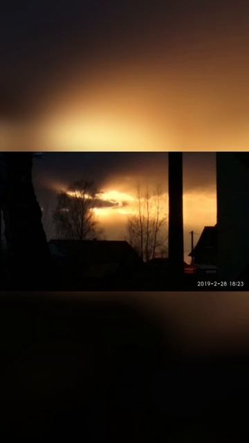 Архив за 2019 г. 13 природажизнь