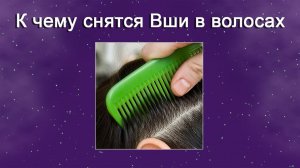 К чему снятся Вши в волосах (Сонник)