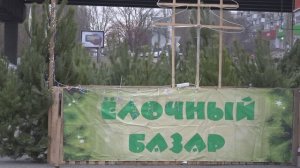 Ёлочные базары в Старом Осколе начнут работу с 18 декабря