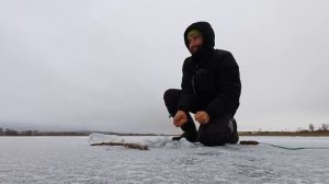 Отличная рыбалка на жерлицы. Щедрый первый лёд.