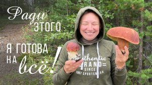 Лучшее видео про белые грибы!