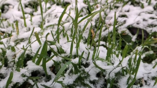 Один из дней города Евпатории | 12 февраля 2021 год  Крым  ХАН БАТОН XAH 6ATOH | VID_20210212_141350