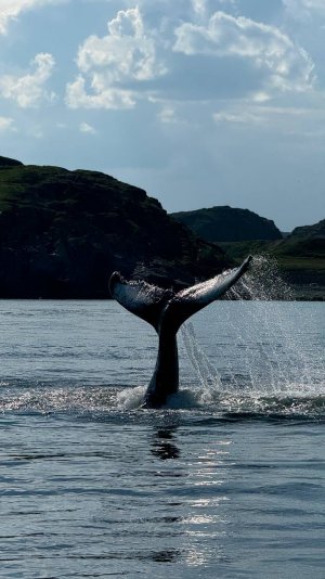 Мурманск_Териберка_Левиафан_2024