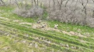 🔴Очередное стадо укронацистов сдаётся в плен в зоне проведения СВО.✋🐷🤚🔴