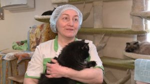 Ищу тебя, хозяин