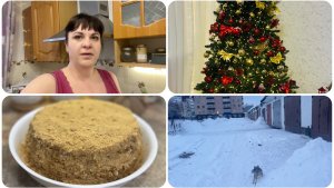 Нарядили елку. Купила на скидках в Магнит косметик.  Что готовила.