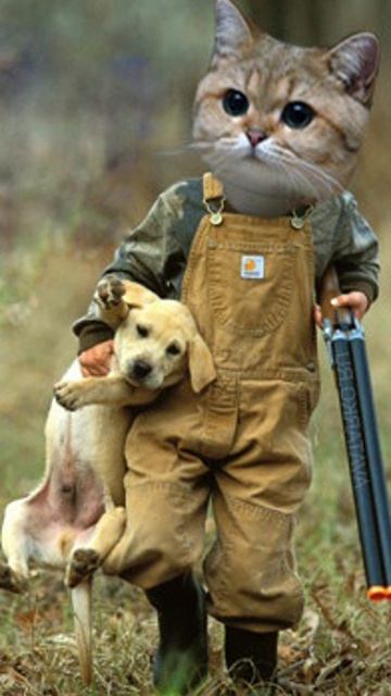 Никакой охоты