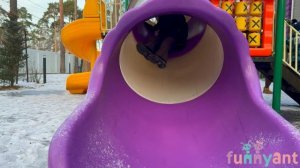 Зимняя прогулка. Funny Ant Malahovka