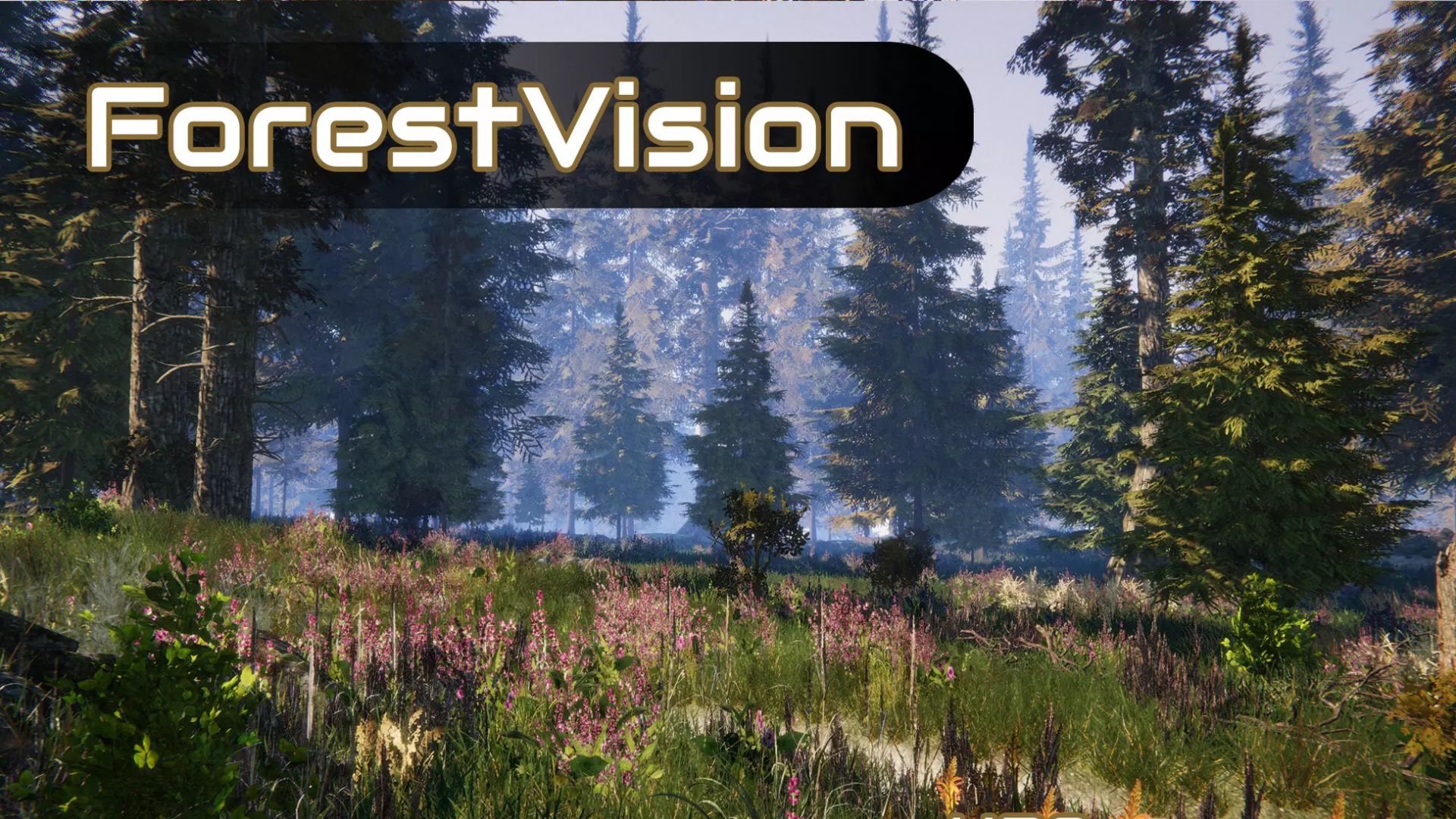 Asset Unity - ForestVision