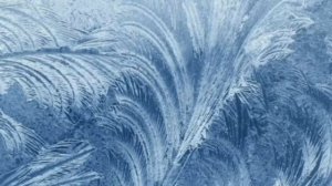 Рисует узоры мороз на оконном стекле