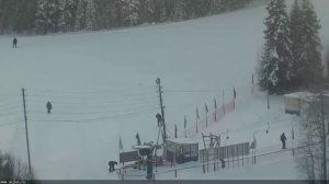 LIVE: channel39463803