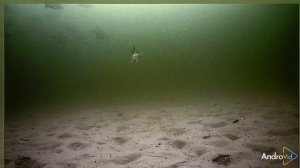 Когда не клюет. Пироговка 2025