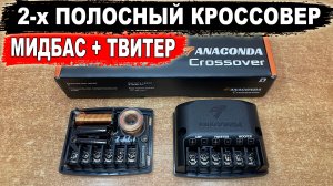 Кроссовер (фильтр частот) для мидбаса и твитера! DL Audio Anaconda Crossover