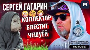 КОЛЛЕКТОР БЛЕСТИТ ЧЕШУЁЙ + Шаболды по вызову. ГАГАРИН