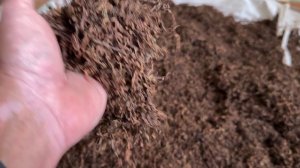 Вирджиния Голд-сушка Табака