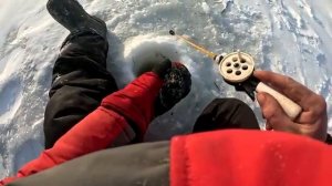 Живём в ПАЛАТКАХ в -35 ! ЭТУ РЫБАЛКУ НЕ ЗАБЫТЬ ! КУЧА РЫБЫ, НАЛОВИЛИ НЕ УВЕЗТИ! Рыбалка на Чанах !