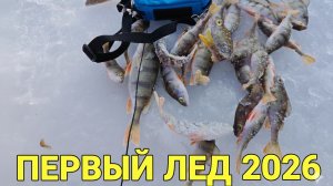 В сердце стаи: ловля окуней через объектив Calypso