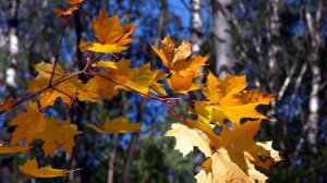 Г. Свиридов, сл. М. Исаковского. "Осенью"